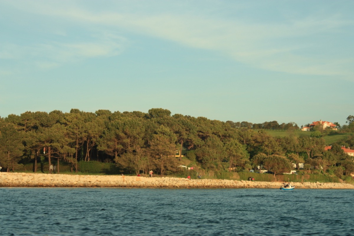Pinar del Camping desde bahía de San Vicente de la Barquera