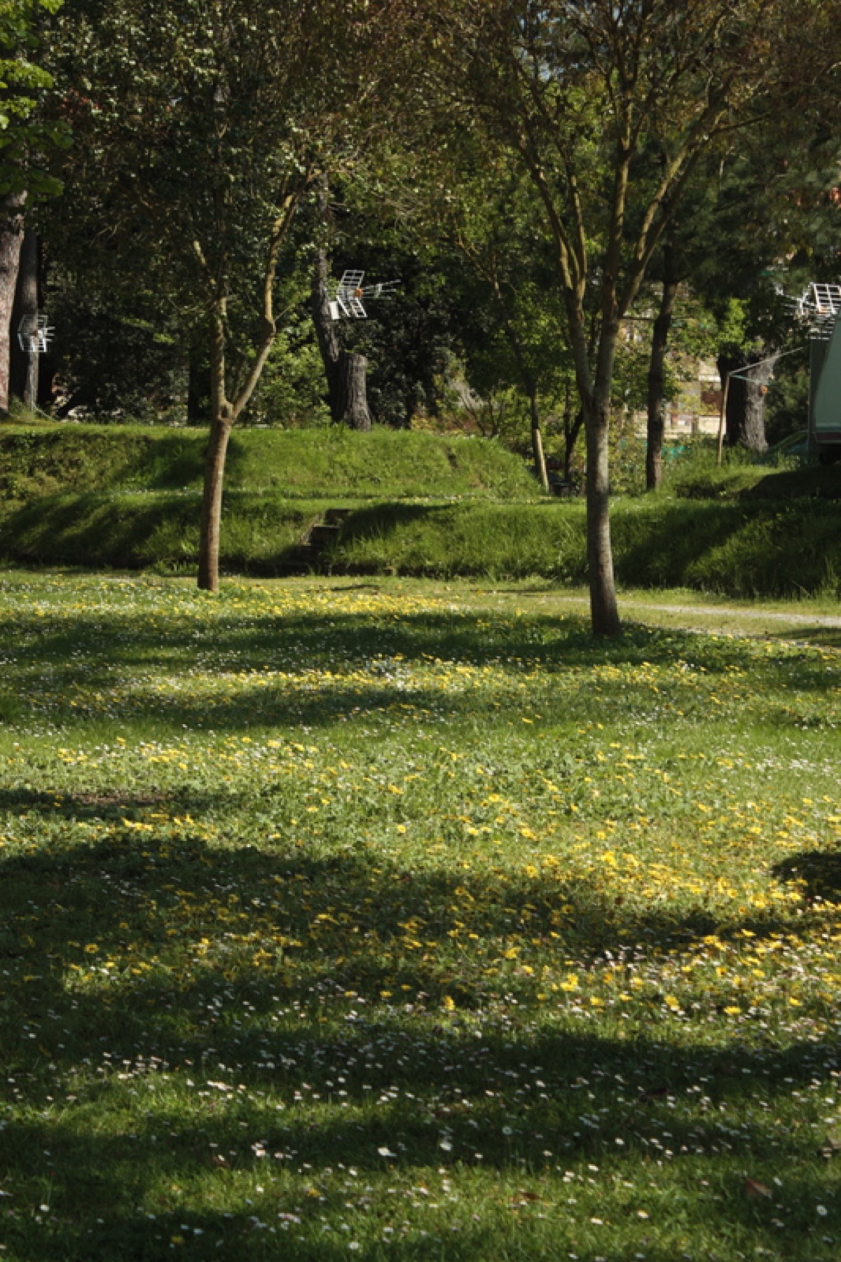 Parcelas camping hierba verde, San Vicente de la Barquera